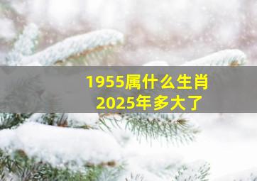 1955属什么生肖 2025年多大了